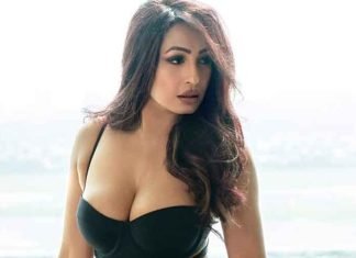 actress-Kashmera-Shah-bold