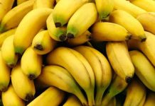 Hajipur’s bananas