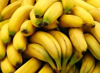 Hajipur’s bananas