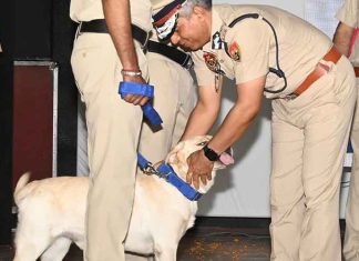 Haryana Police enhances capacity with New Dogs