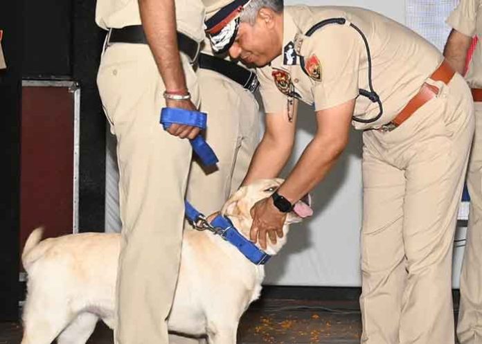 Haryana Police enhances capacity with New Dogs