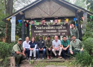 Kaziranga mahouts get training in Thailand