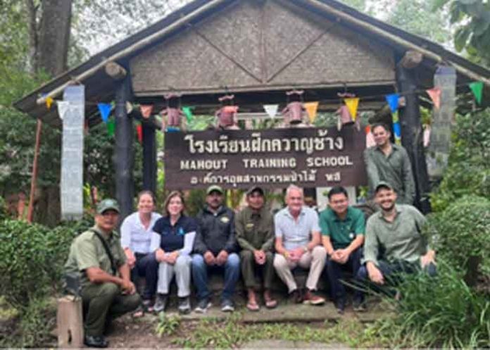 Kaziranga mahouts get training in Thailand