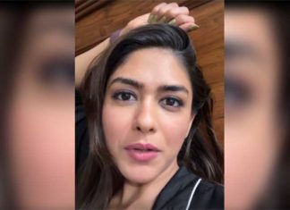 Mrunal Thakur shares her pic