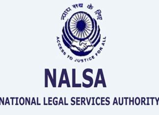 NALSA logo