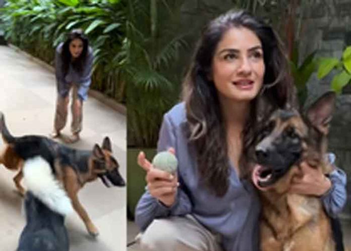 Raveena Tandon adopts Dog