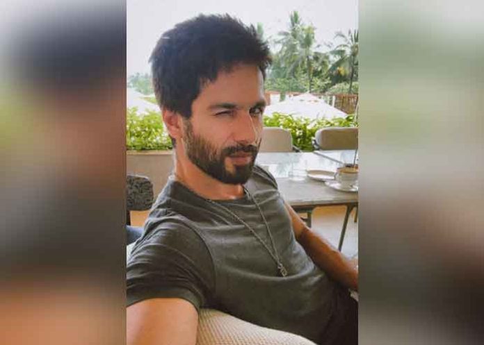 Shahid Kapoor wink