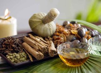 ayurveda--HERBS