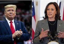 donald trump and kamala harris polls