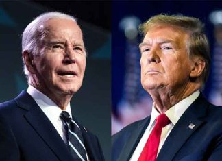 joe biden and donald trump