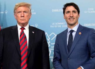 justin trudeau and Donald trump