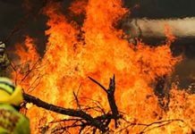 Bushfires in Australia Victoria