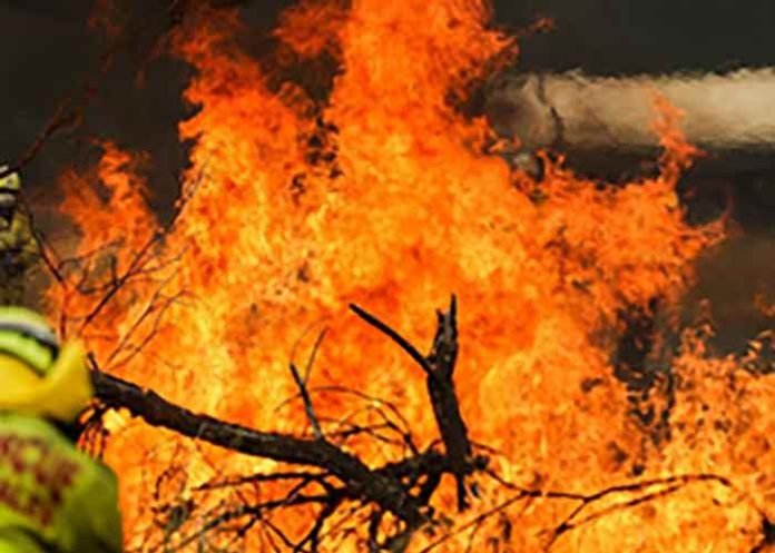 Bushfires in Australia Victoria