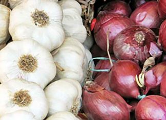 Cooking garlic and onions