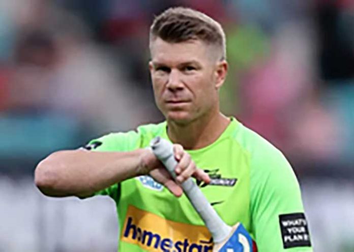 David Warner Australian Cricketer