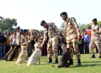 Guru Angad Dev Vet Varsity Organizes Dog Show