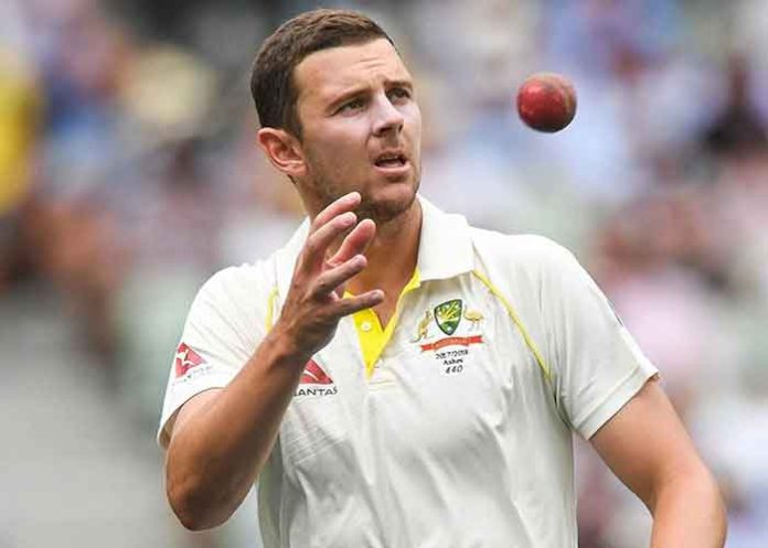 Josh Hazlewood Australian Cricketer