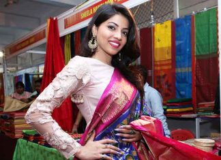 National Silk Expo Patola Saree