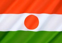 Niger flag