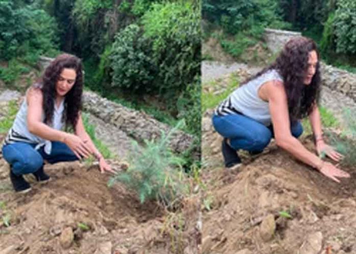 Preity Zinta Farming