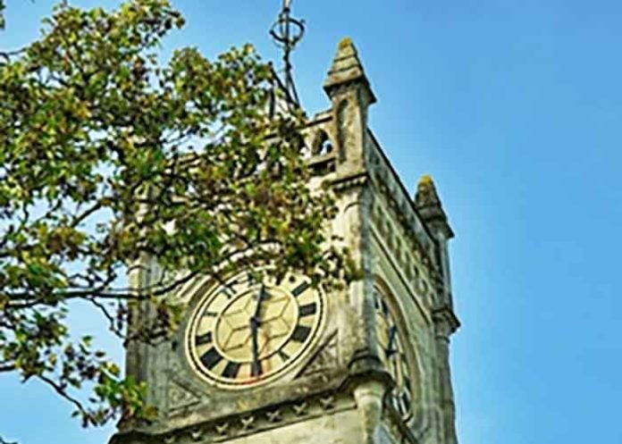 Rejuvenate wastelands using Miyawaki for Ludhiana