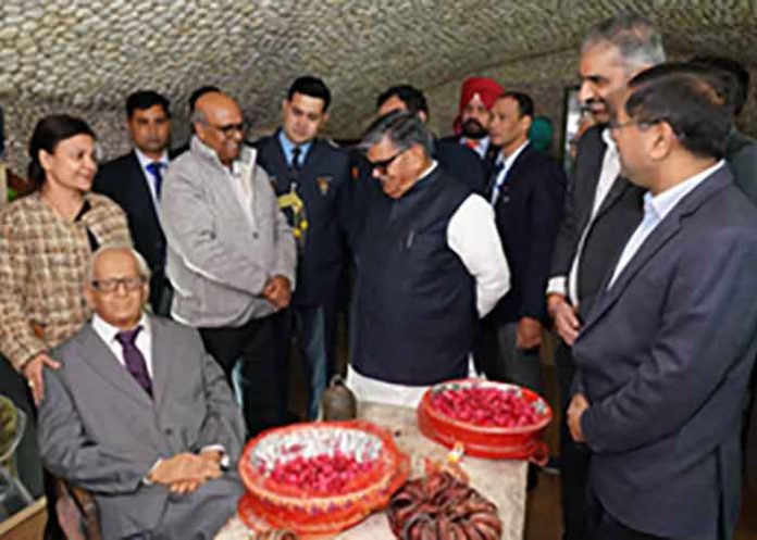 Rock Garden rocks with 100th birth anniversary of creator