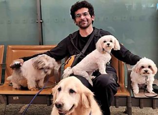 Sunil Grover with his furry friends