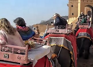 Amer Fort elephant ride