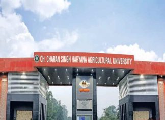 Charan-singh-haryana-agriculture-university