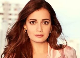 Dia Mirza Actress 4