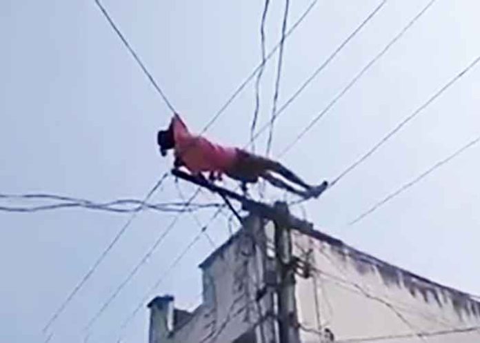 Drunk man climbs electric pole