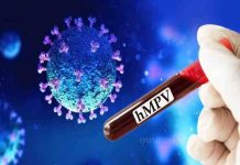 Human-Metapneumovirus-HMPV