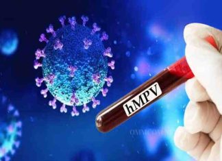 Human-Metapneumovirus-HMPV