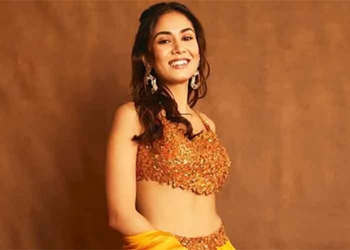 Mira Rajput Actress 1