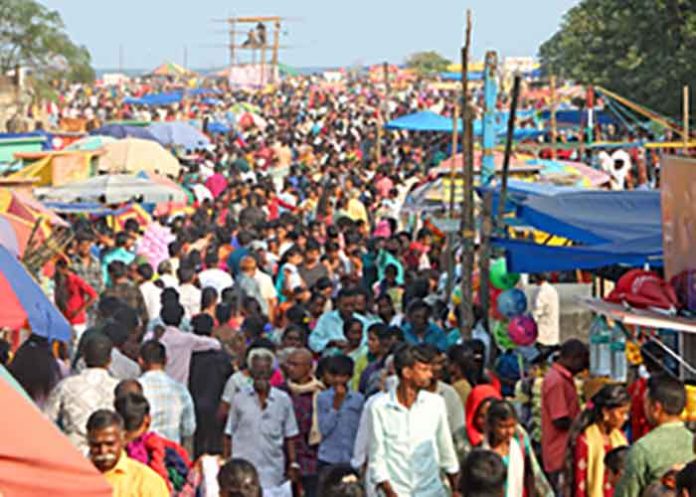 Pongal festivities