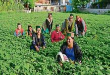 State-agriculture-minister-Chand-natural-farming