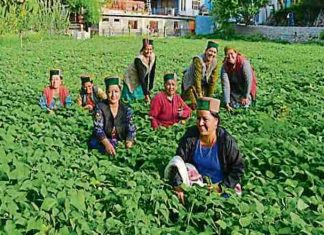 State-agriculture-minister-Chand-natural-farming