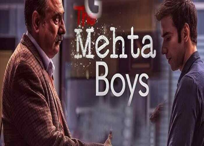 The-Mehta-Boys