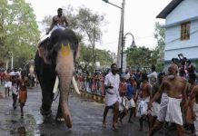 ‘Temple-shirt-row-continues-in-Kerala.