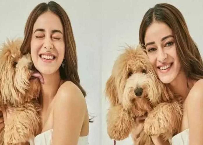 Ananya-Panday-with-puppy-love