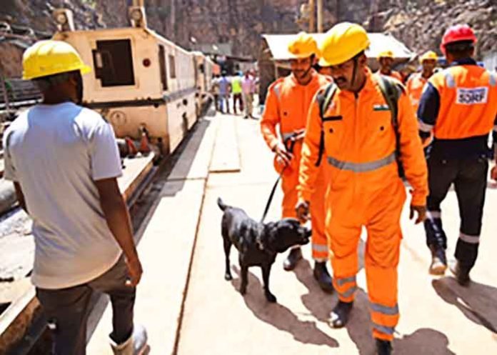 Tunnel collapse Rescue teams