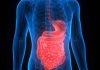 Inflammatory bowel disease Liver