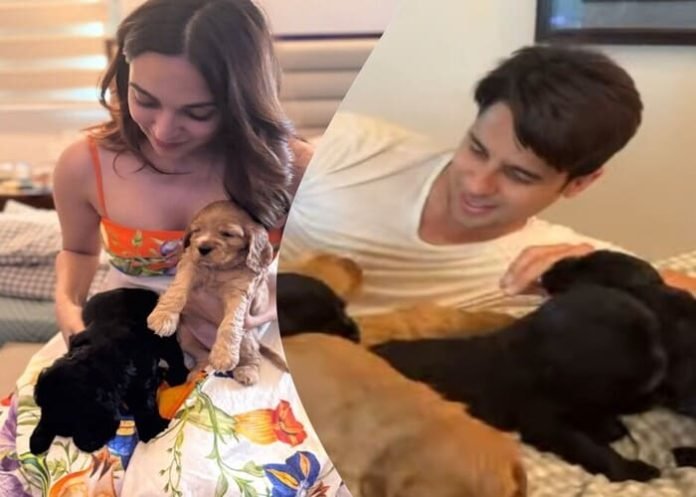 Kiara-Advani-Sidharth-Malhotra