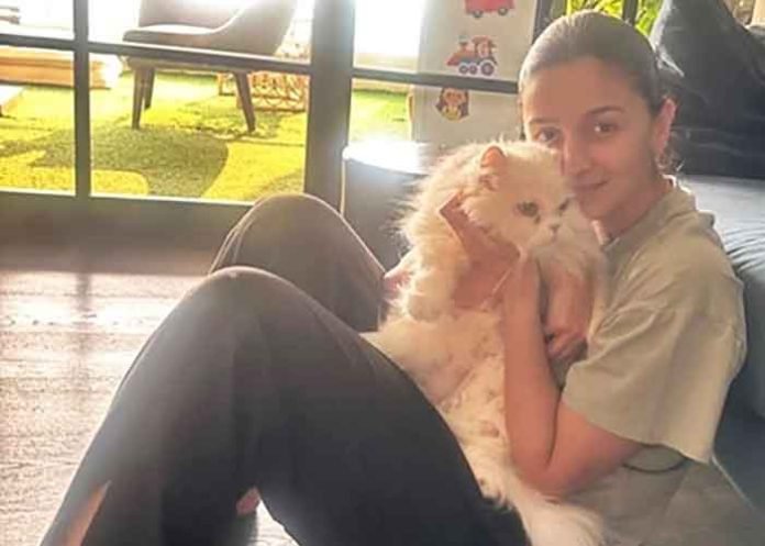 Alia Bhatt shares a picture with Pet