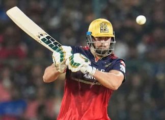 Tim David RCB Player