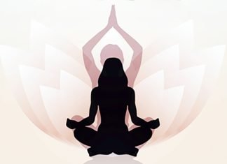 International Yoga Day gains ground across US, reflecting growing wellness culture Yoga Shadow