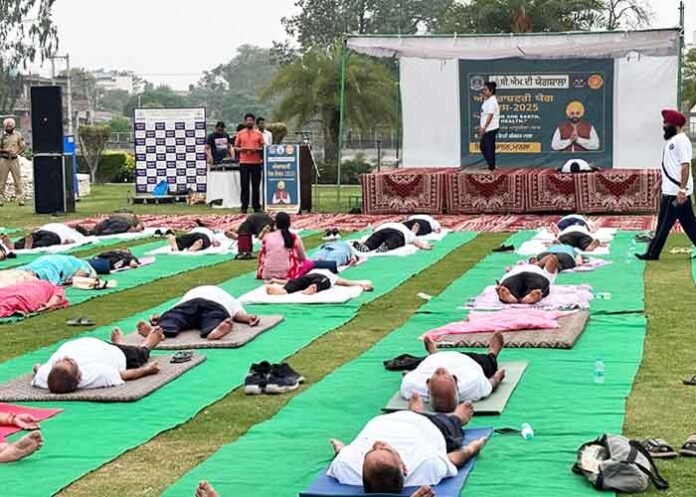 11th International Yoga Day Celebrates