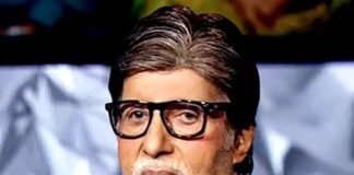 Amitabh Bachchan Veteran Actor