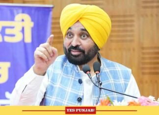 Truth Behind Fake Video Out; Instructions Issued To DGP To Track Down Everyone Involved in Conspiracy: CM Bhagwant Mann Bhagwant Singh Mann Punjab CM 15