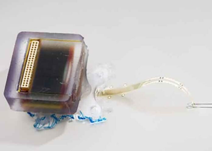 Implantable electronic device for spinal cord injury